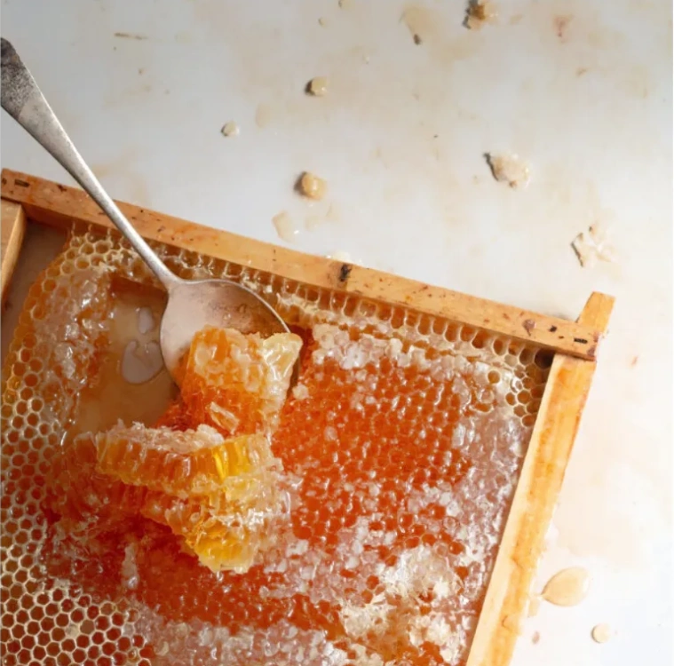 Κηρήθρα με μέλι παραγωγής μας